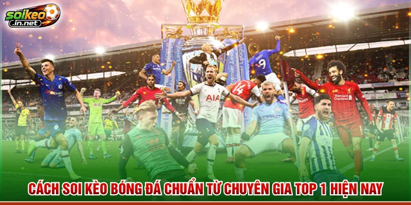 Cách Soi Kèo Bóng Đá Chuẩn Từ Chuyên Gia Top 1 Hiện Nay