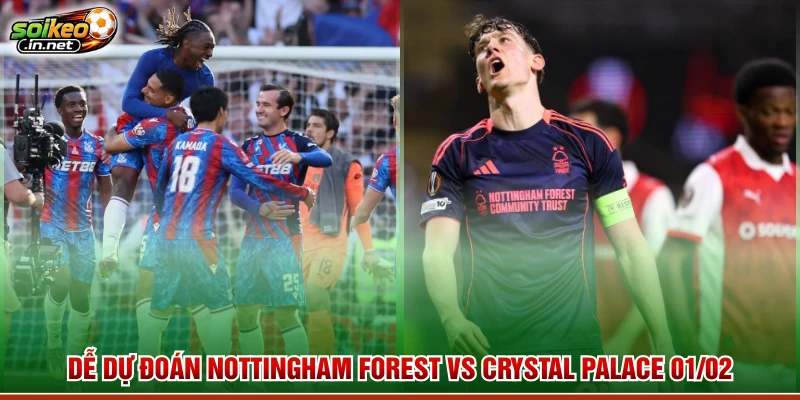 Dễ dự đoán Nottingham Forest vs Crystal Palace 01/02