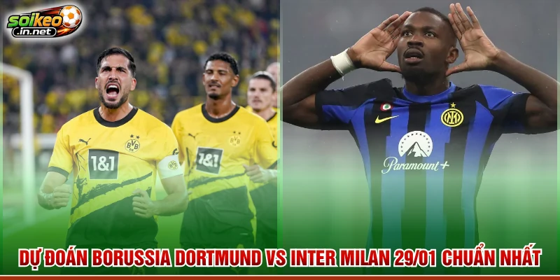 Dự Đoán Borussia Dortmund Vs Inter Milan 29/01 Chuẩn Nhất