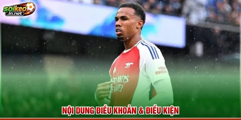 Nội dung điều khoản và điều kiện