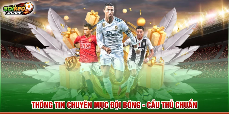 Thông tin chuyên mục Đội bóng - cầu thủ chuẩn