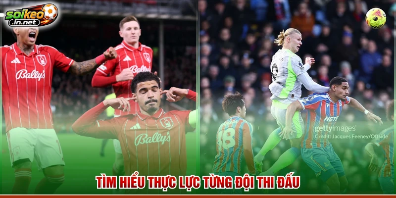 Tìm hiểu thực lực từng đội thi đấu