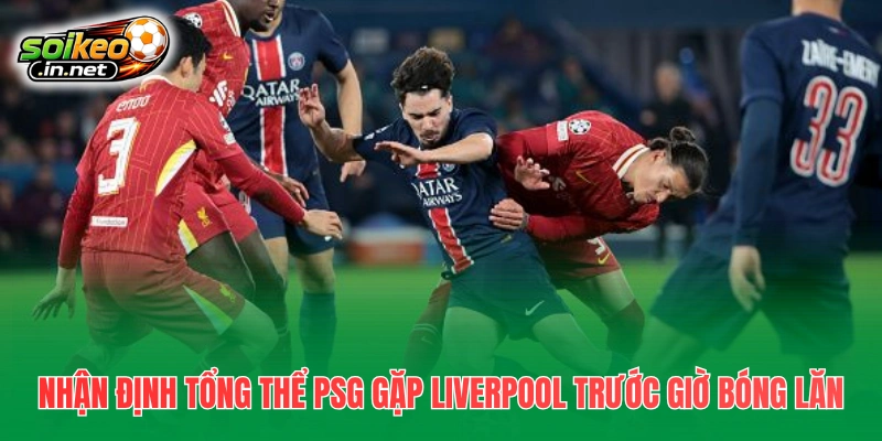 Nhận định tổng thể PSG gặp Liverpool trước giờ bóng lăn